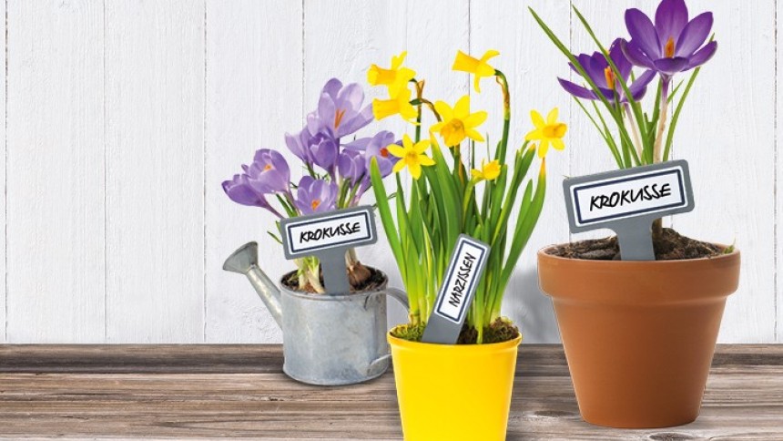 Etiketten für den Garten