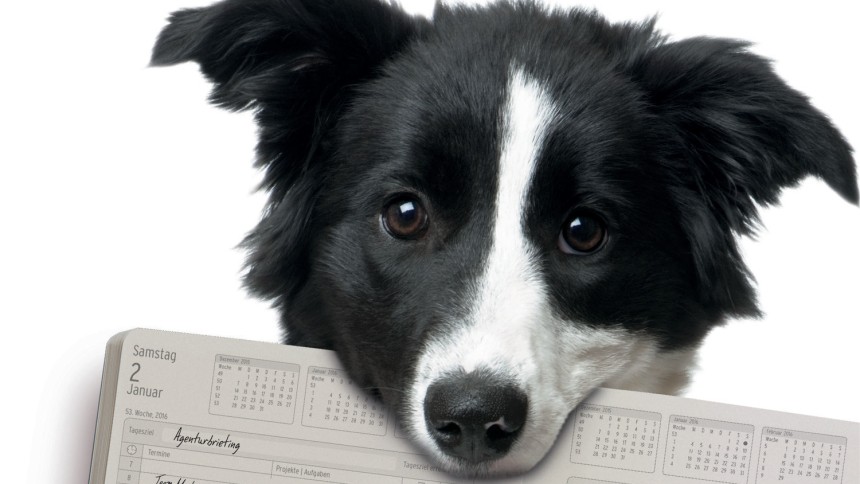 Chronobook Key Visual Hund 2016