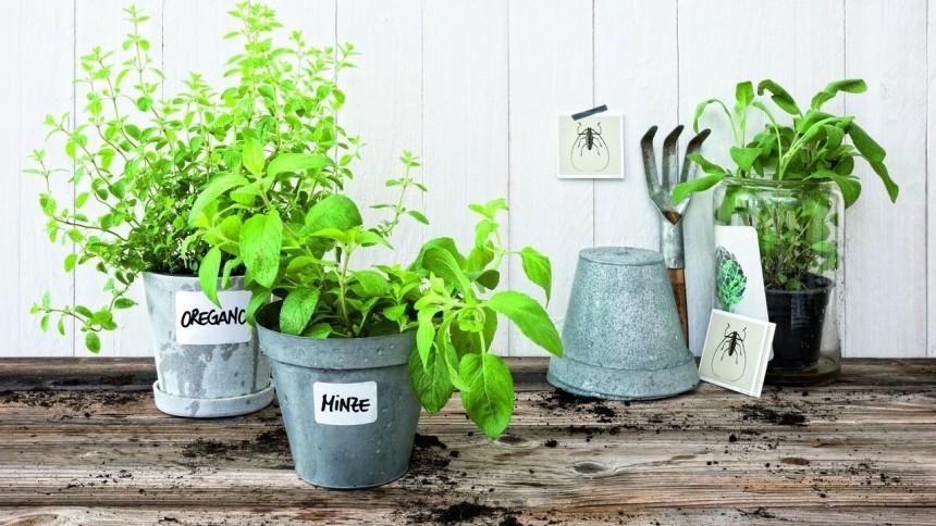 Etiketten für Garten und Werkstatt