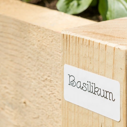 Folienetikett zur Pflanztopfbeschriftung