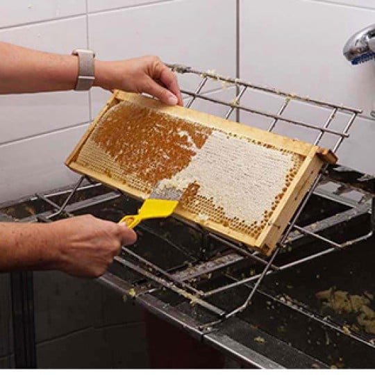 Bienen bei Avery