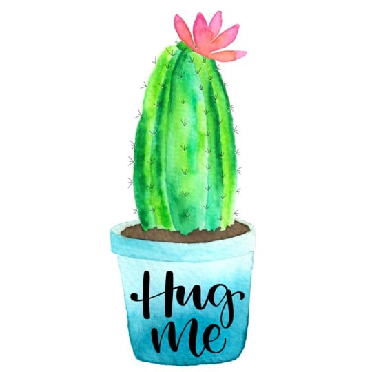 Hug_me_ Kaktus T-Shirt selbst bedrucken