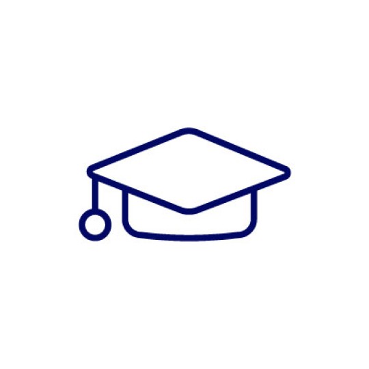Icon Coaching