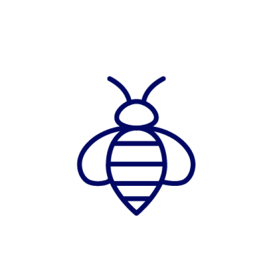 Icon Biene
