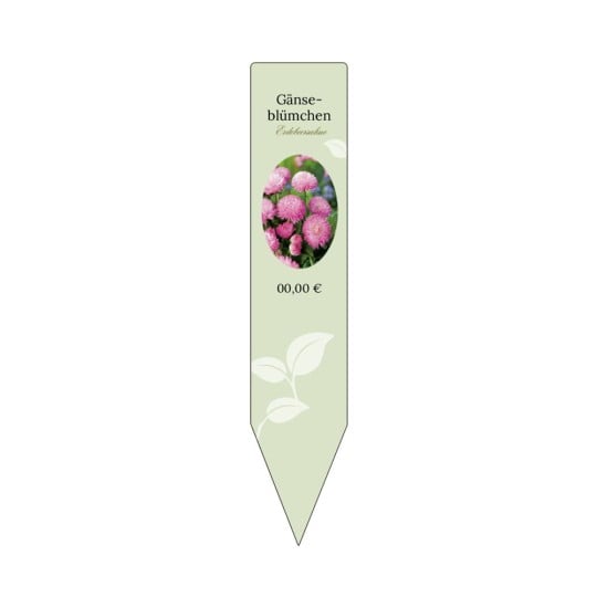 Steckschild Blume Gänseblümchen