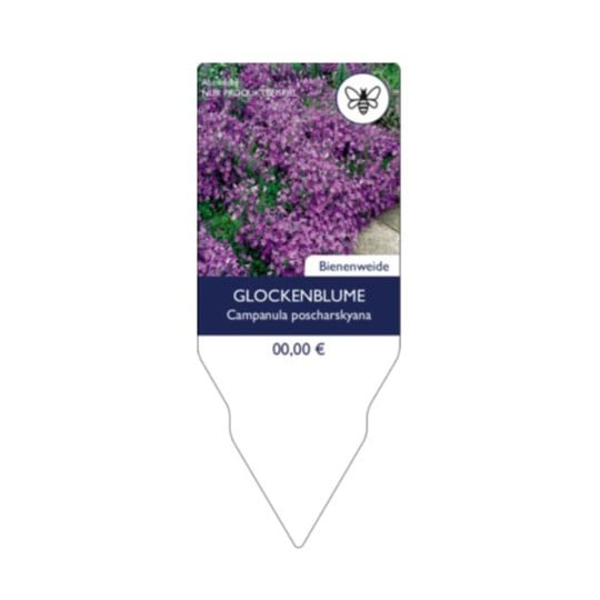 Steckschild Glockenblume