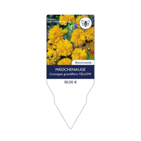 Steckschild Blume Mädchenauge