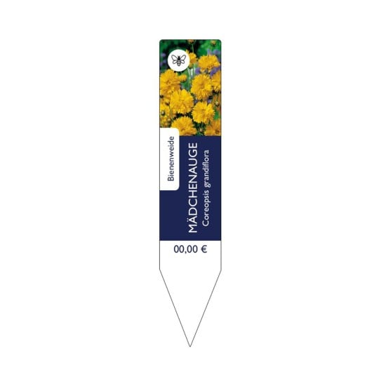 Steckschild Mädchenauge schmal