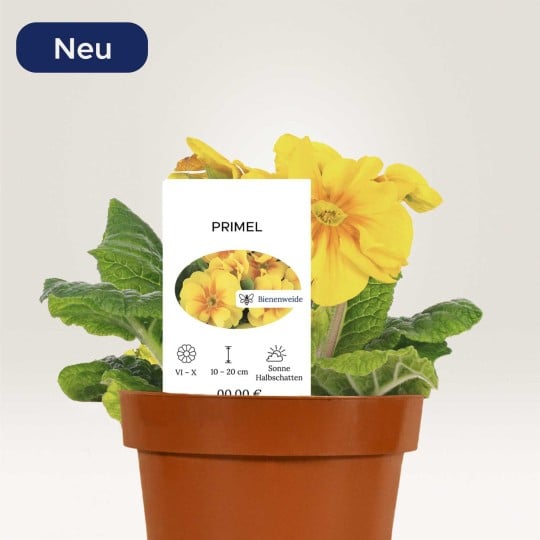 Pflanzenschilder