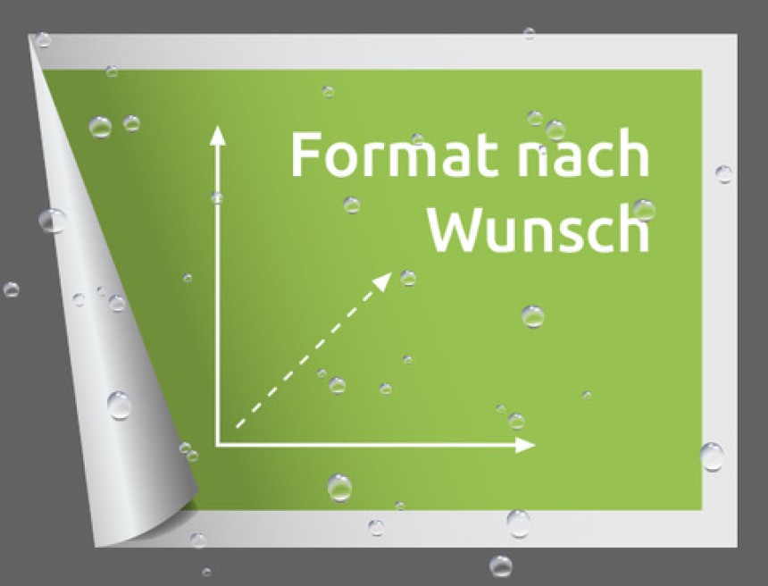 Wusnchformat