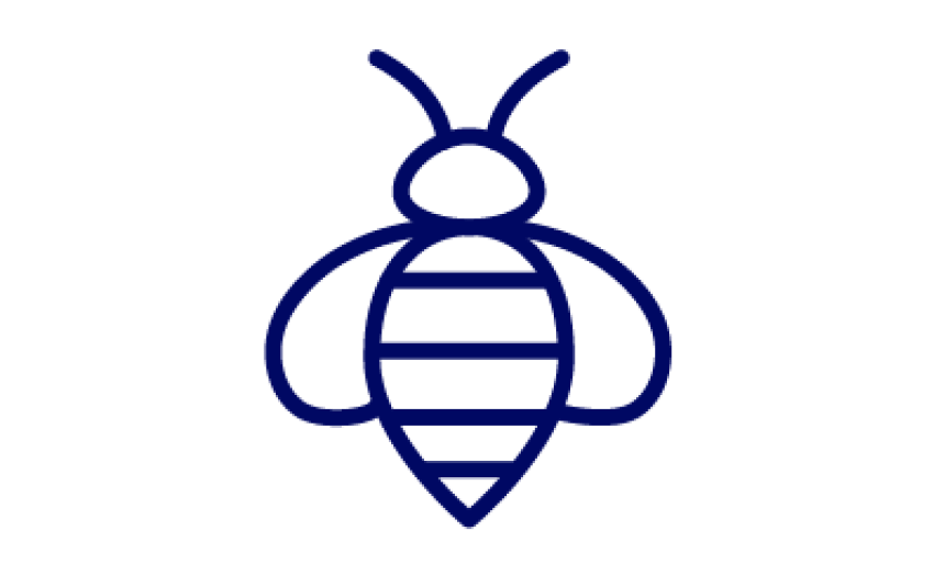 Icon Biene