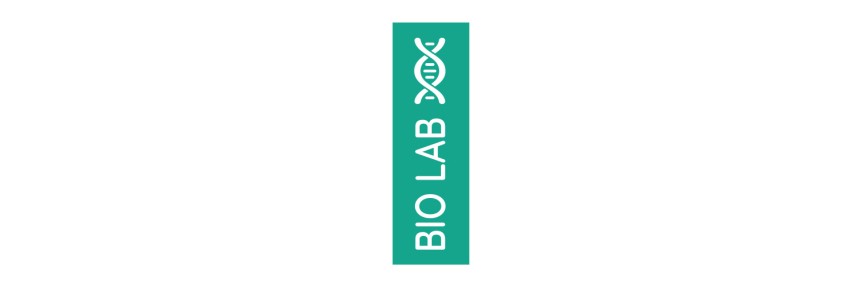 Logos im Hochformat sind auffällig