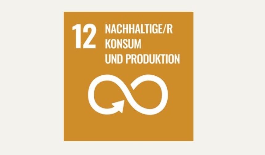 SDG12 Nachhaltige Produktion