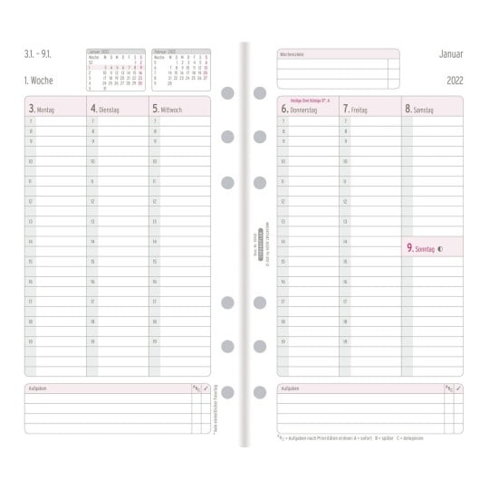Chronoplan Wochenplan 50542 96 x 172 mm