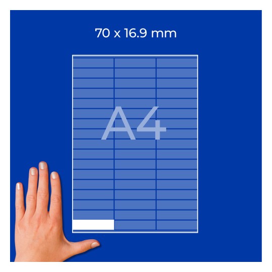 Hand neben A4-Etikett über blauem Raster mit den Abmessungen 70 x 16,9 mm?