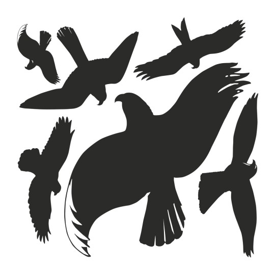 Abbildung Einzelbogen, Artikel: 4485, Warnvögel Aufkleber, Format: 280 x 285 mm, 6 Sticker/Bogen
