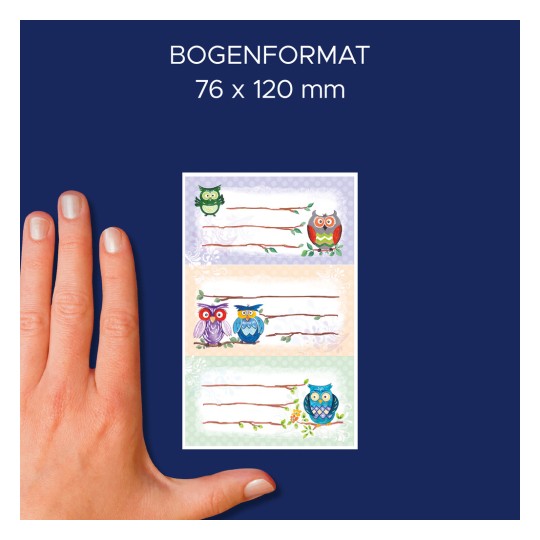 Größenvergleich mit Hand, Artikel: 59249, ein Bogen Buch-Etiketten, Format: 36 x 70 mm, Farbe: Bunt