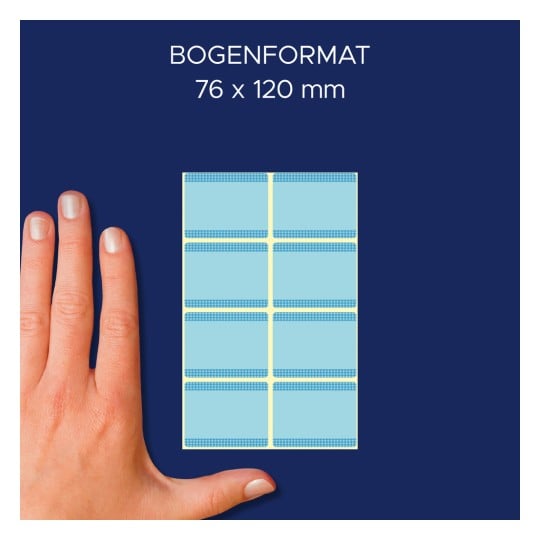 Größenvergleich mit Hand, Artikel: 59374, ein Bogen Tiefkühl-Etiketten, Format: 28 x 36 mm, Farbe: Blau
