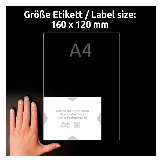 Größenvergleich mit Hand, Artikel: 8002-5, ein Bogen Träger-Etiketten, Format: 160 x 120 mm, Farbe: Weiß, Hellgrau