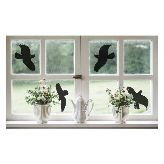 Das Bild zeigt ein Fenster mit Silhouetten von Vögeln auf dem Glas. Auf der Fensterbank stehen weiße Vasen mit Blumen, und neben den Vasen steht eine weiße Teekanne.