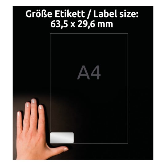 Größenvergleich mit Hand, Artikel: L6011-20, ein Bogen Typenschild-Etiketten, Format: 63,5 x 29,6 mm, Farbe: Silber
