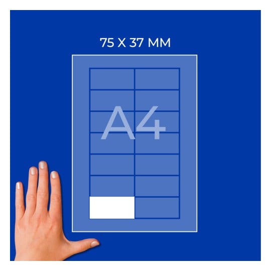 A4-Blattdiagramm mit einem 75 × 37 mm großen Etikett und einer Hand unten links?