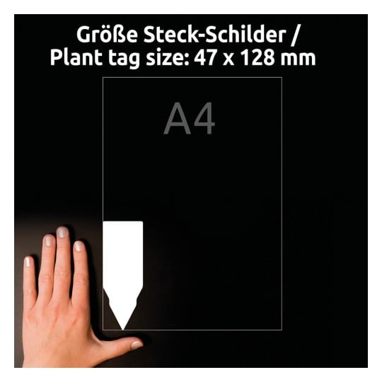 Größenvergleich mit Hand, Artikel: T3006-10, ein Bogen Steck-Schilder, Format: 128 x 47 mm, Farbe: Weiß