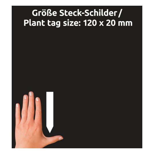 Größenvergleich mit Hand, Artikel: T9002, ein Bogen Steck-Schilder, Format: 120 x 20 mm, Farbe: Weiß