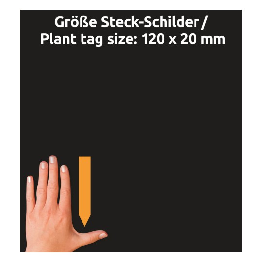 Größenvergleich mit Hand, Artikel: T9004, ein Bogen Steck-Schilder, Format: 120 x 20 mm, Farbe: Orange