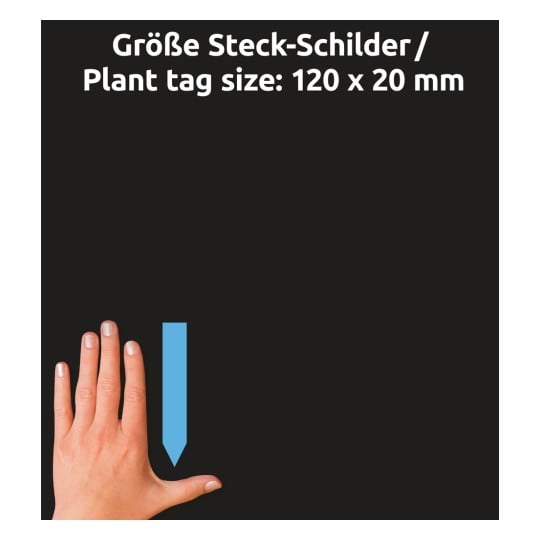 Größenvergleich mit Hand, Artikel: T9006, ein Bogen Steck-Schilder, Format: 120 x 20 mm, Farbe: Blau