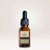 CBD-Etikett klebt auf kleinem Öl-Fläschchen.