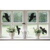 Das Bild zeigt ein Fenster mit Silhouetten von Vögeln auf dem Glas. Auf der Fensterbank stehen weiße Vasen mit Blumen, und neben den Vasen steht eine weiße Teekanne.