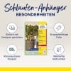 Das Bild zeigt ein Verpackungsdesign für Avery Zweckform Etiketten. Es hebt verschiedene Merkmale hervor, wie einfaches Design, strapazierfähiges Folienmaterial, den klimaneutralen Produktstatus und den beidseitigen Druck.